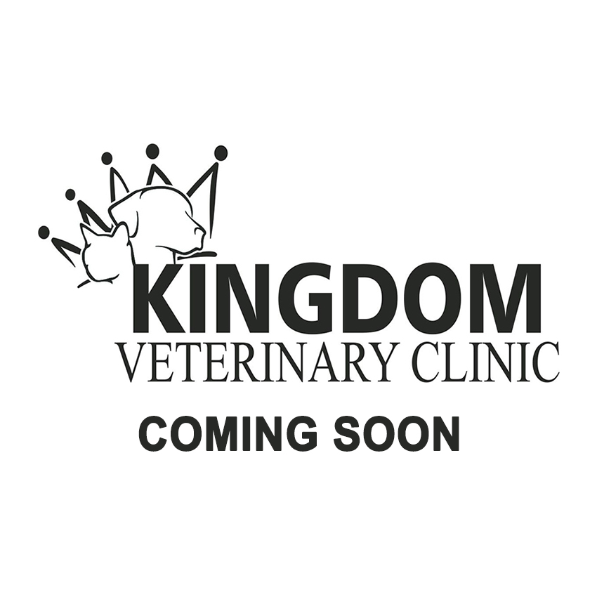 coming soon placeholder