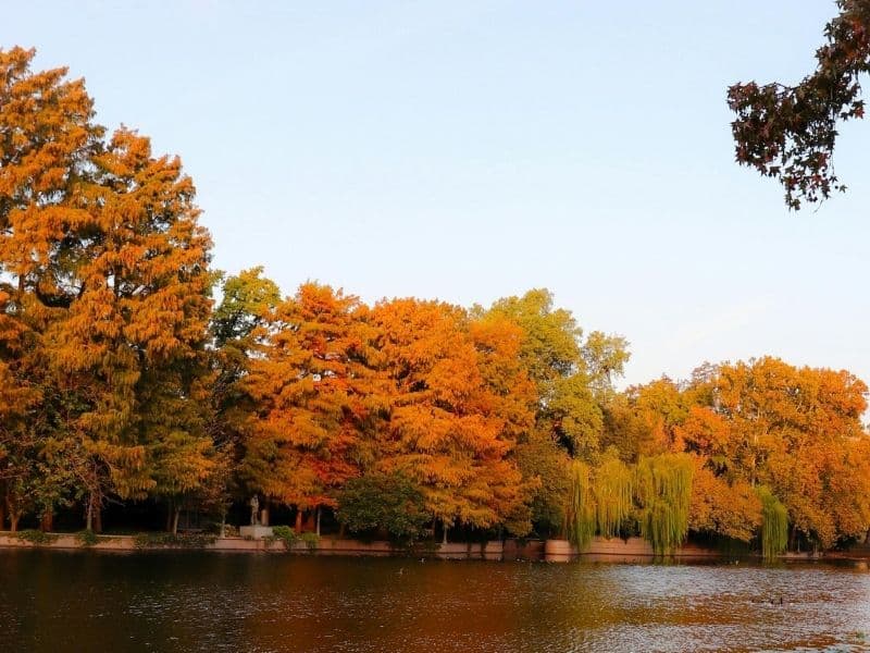Scenic Lake View in Texas